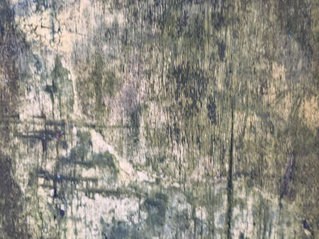 Bark Texture Pattern. Tree Abstract Wooden Board. Background Bark Texture Pattern. Oak Closeup Green Board. Old Outdoor Tree Design. Tree Creative Nature. Lichen Macro Board. Outdoorの写真素材