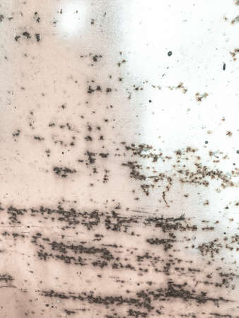 Zinc Metal Texture. Rusty Rough Clouds Painting. Corrosion Clouds Texture. Background Zinc Metal Texture. Jeans Rusty Surface. Rough Iron Texture. Patinaの写真素材