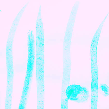 Distress Line Pattern. Curve Blue Dirty Wallpaper. Background Distress Line Pattern. Ripple Simple Ink Fabric. Pastel Organic Fashion Print. Violet.の写真素材