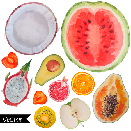 Collection set of fresh ripe fruits berries and exotic fruits close up sign objects isolated on white background. Watercolor paintingのイラスト素材