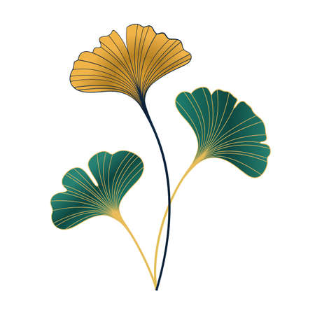 Simple vector design of ginkgo leaves on white backgroundのイラスト素材