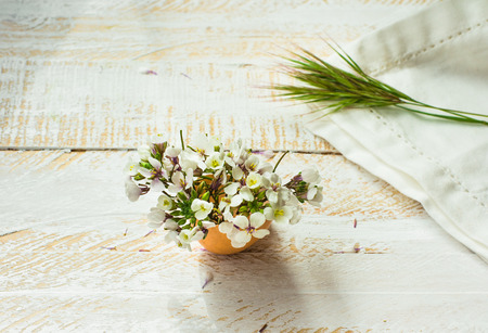 White field flowers in eggshell, napkin, green grass twig on wood surface in soft morning sunlight, Easter decoration, mother's dayの写真素材