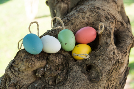 Decorative colorful Easter eggs on twine in tree hollow, holiday conceptの写真素材