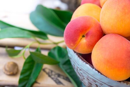 Fresh ripe organic whole apricots in ceramic bowl on wood garden fruit box, kernel, green leaves, close upの写真素材