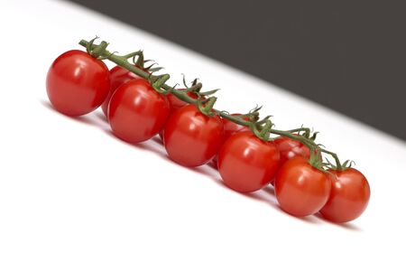 Branch a tomato diagonally on a white and black backgroundの写真素材