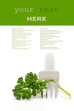 Parley and fork isolated on a white background (with sample text)の写真素材