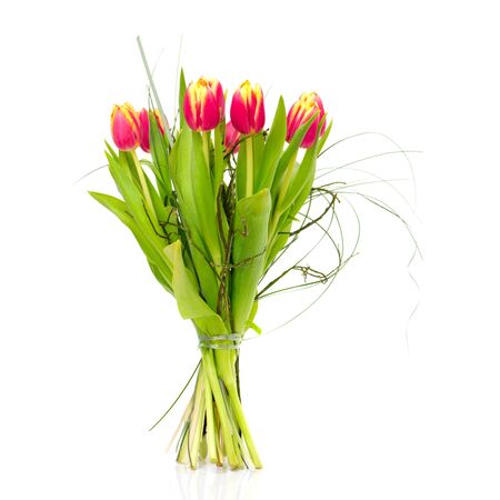 Bouquet of the fresh tulips on white background (with sample text)の写真素材