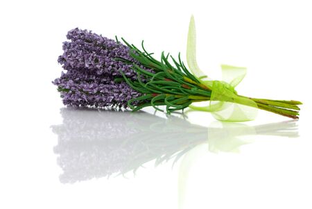 Bunch of lavender flower isolated on white background, close-upの写真素材