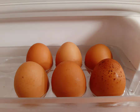 Six raw eggs contain in refrigerator