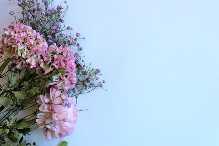 Light pink flowers (Ranunculus) isolated on white background. Background for greetings, invitations,...