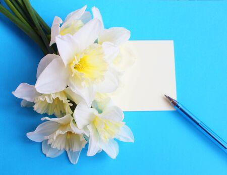Spring flower arrangement. Writing paper, pencil, and white daffodils on a blue background. Background for greeting cards, invitations and greetings.の写真素材