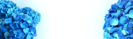 Festive floral arrangement in blue tones. Delicate blue hydrangea flowers on a light background. Background for greetings, invitations, cards for wedding, birthday, Valentine's Dayの写真素材