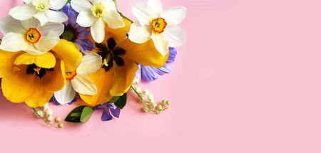 Spring bouquet of tulips and daffodils on a light pink background. Delicate flower arrangement. Background for cards, greetings, invitations.の写真素材