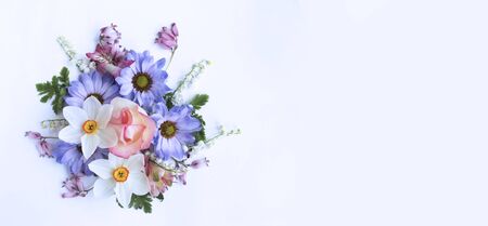 Spring flowers on a white background. Delicate flower arrangement. The view from the top. Background...