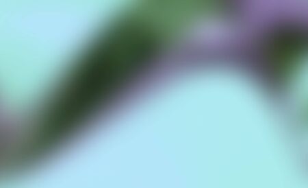 Abstract gray light cyan out-of-focus background. Light, pastel colors. Background for web design, laptop cover.の写真素材