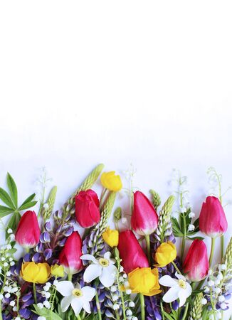 Bright spring flower arrangement. Lilac lupines, crimson tulips, white daffodils, and yellow flowers of trolius europaeus on a white background. Bright color. Background for spring greeting cards, invの写真素材