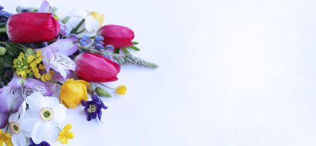 White daffodils, pink tulips, lilac Alstroemeria on a white background. Spring bouquet. Background...