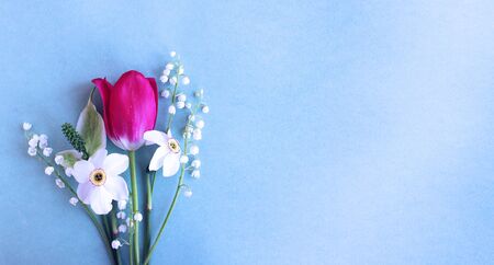 Scarlet Tulip, white daffodils and lilies of the valley on a light green background. Bright summer...