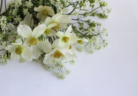 White flowers on a white background. Place for text. Flat lay.