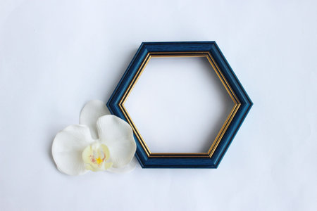 Blue photo frame with white orchid flower isolated on white background.の写真素材
