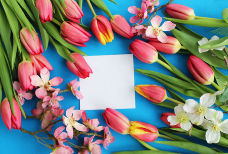 bouquet of pink tulips and white card on blue backgroundの写真素材