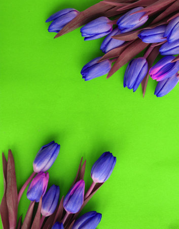 Abstract background. Blurred colorful background. Abstract background for design.の写真素材