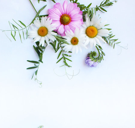 Beautiful bouquet of daisies on a white background. Top view.の写真素材