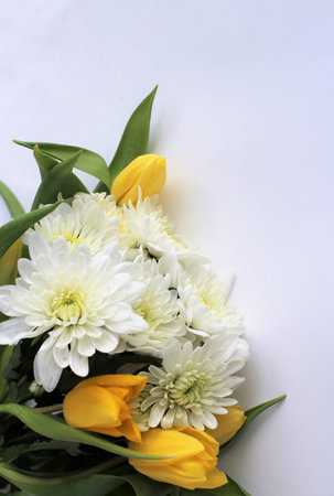 Bouquet of tulips and chrysanthemums on white background
