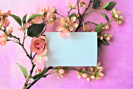 Blank paper card and spring flowers on pink background, top viewの写真素材
