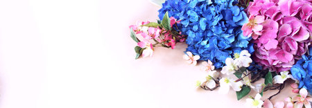 Bouquet of colorful hydrangea flowersの写真素材