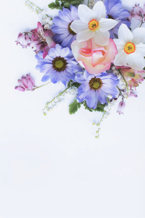 Bouquet of spring flowers on a white background with copy spaceの写真素材