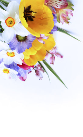 Spring bouquet of daffodils and tulips on white backgroundの写真素材
