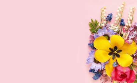 Spring flowers on pink background. Flat lay, top view, copy spaceの写真素材