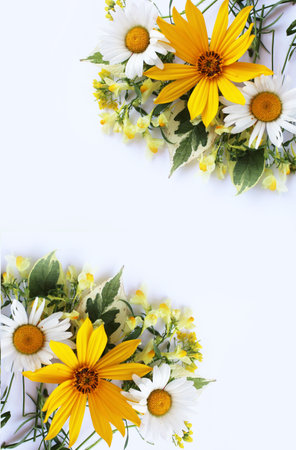 Bouquet of daisies and chamomiles on white backgroundの写真素材