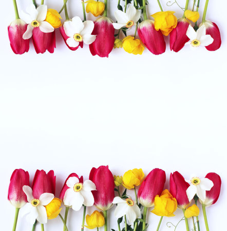 Spring flowers on white background. Flat lay, top view, copy spaceの写真素材