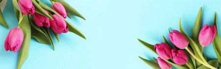 Bouquet of pink tulips on a blue background. Flat lay, top view.