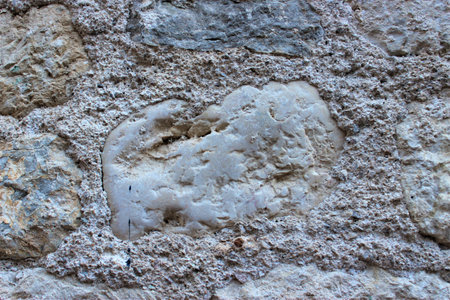 Stone wall texture background. Closeup of stone wall texture background.の写真素材