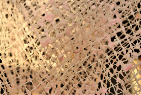 abstract texture of a piece of lace, closeup of photo