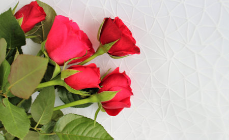 Red roses on white background with copy space for valentine's dayの写真素材