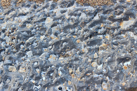 Closeup detail of black and white rock texture background. Natural pattern