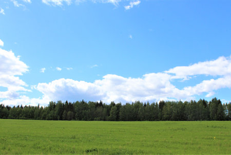 Green meadow and blue sky with white clouds. Nature background.の写真素材