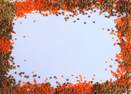 Frame of lentils on a white background. Space for text.の写真素材