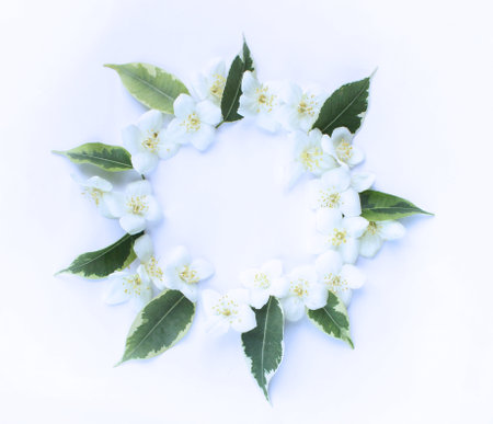 White jasmine flowers with leaves on white background. Flat lay, top view.