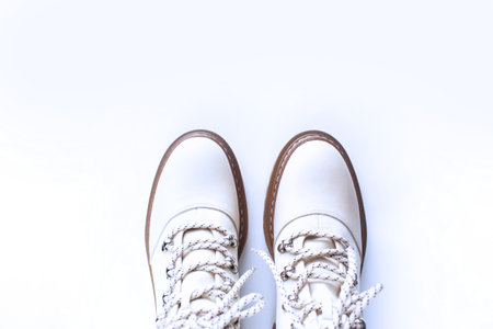 Cosmos flowers isolated on white background with copy space for text.の写真素材