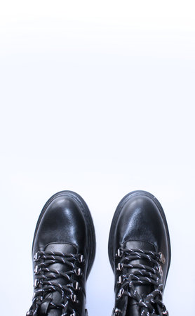 Pink cosmos flowers isolated on white background. Flat lay, top view.の写真素材