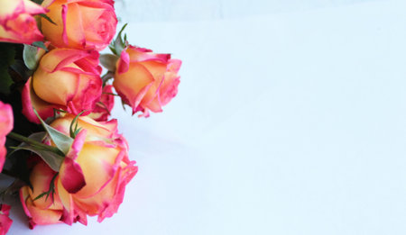 Beautiful bouquet of roses on a white background. Place for text.の写真素材