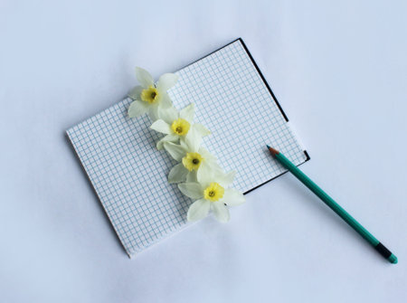 notebook and pencil with daffodils on a white backgroundの写真素材