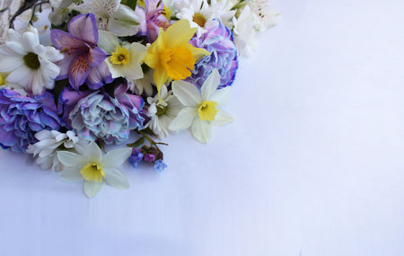 Bouquet of spring flowers on a white background with copy spaceの写真素材