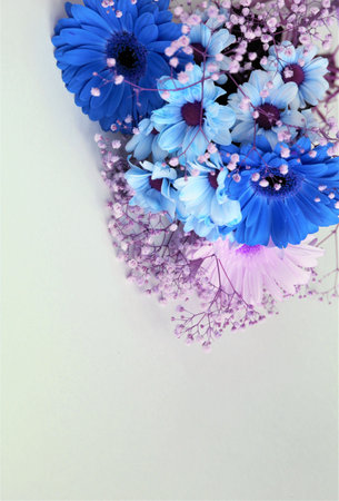 Blue and pink flowers bouquet on white background. Flat lay, top view.の写真素材