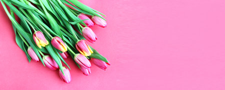Bouquet of pink tulips on a pink background. Place for text.の写真素材